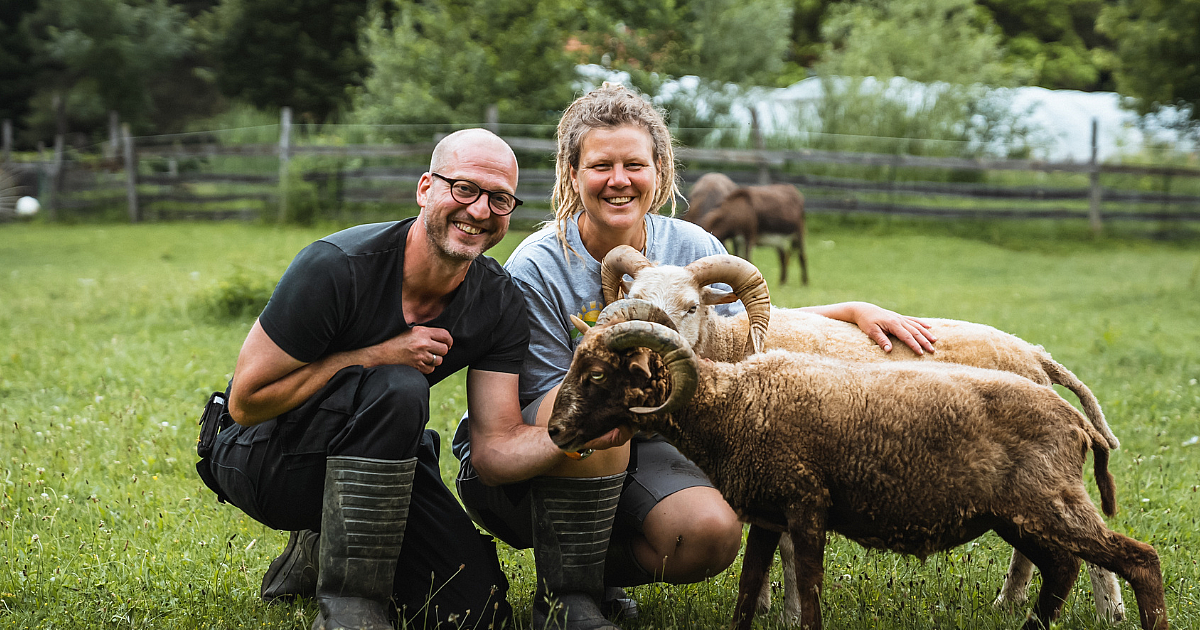 Lessons from Farm Life