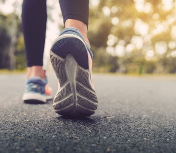 Metaphors of Movement