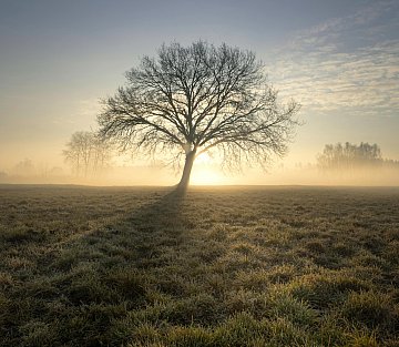 Knowing Our Power in Tumultuous Times