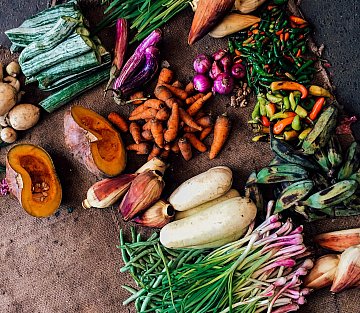 Bringing France’s Waste Prevention Plan to Life