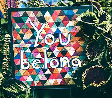 Do You Find Belonging in Groups or Communities?