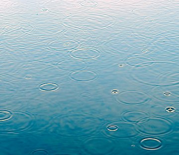 The Surgeon Who Accepts Community Service as Payment