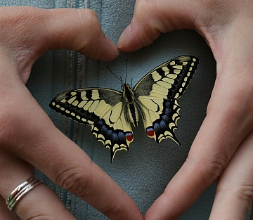 How to Stop Overthinking Your Happiness