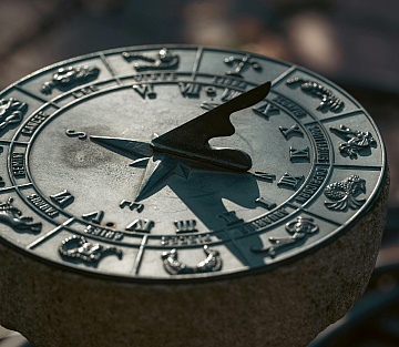 Wild Clocks