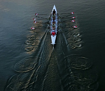 Meta Verse to Metta Verse