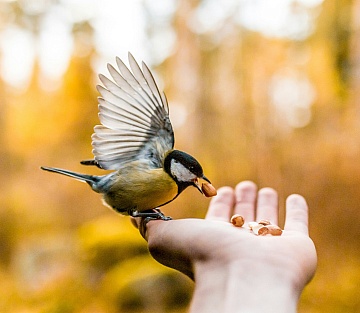 A Dance of Invisible Kindness