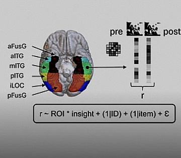 When the Brain Suddenly Sees