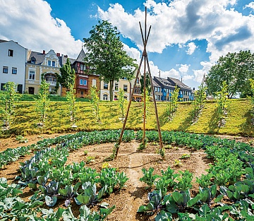 The Edible City Where Food Is Free