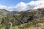How a Botonist Revived a Forest, by 'Doing Nothing'