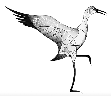 The Voices of Birds and the Language of Belonging