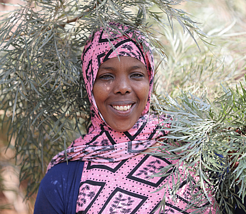 Reforesting Ethiopia with 50 Billion Trees, One Step at a Time