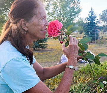 Peaceful Flower Garden Becomes a Free 'You Pick' Haven