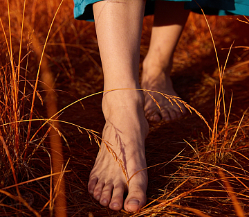 From the Soil to the Soul: a Journey Back to Ourselves