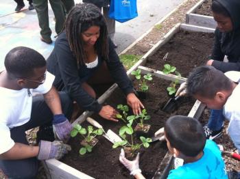 From Vacant City Lots to Food on the Table