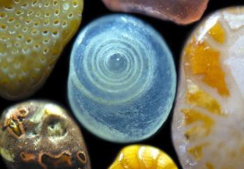 The Beauty in Each Grain of Sand 