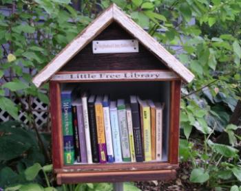 The Pay-It-Forward Little Libraries