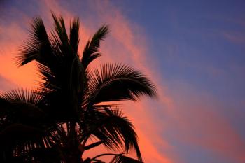 A Morning When Everything Fell Into Place