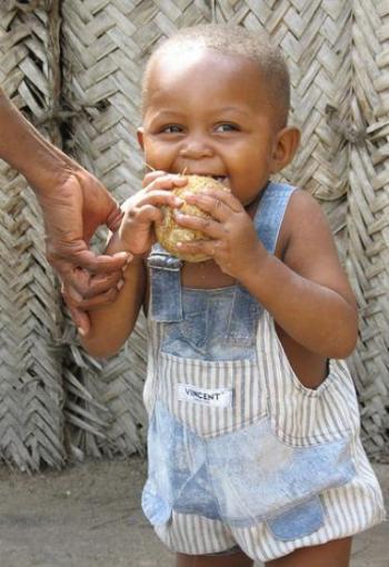 Feeding the World From a Garden Shed