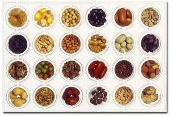 The Food Movement: Its Power and Possibilities