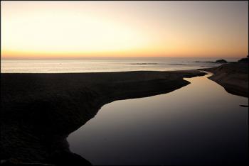 New Year, New You: Making Resolutions Matter