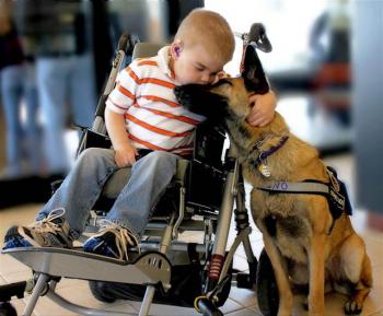 A Dying Boy's Special Bond with a Rescue Dog