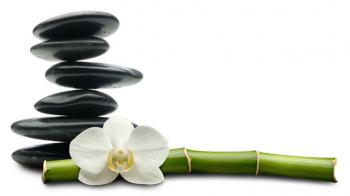 Life as a Conscious Practice