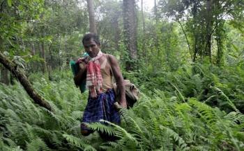 The Man Who Planted a Forest