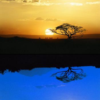 What Death Taught Me About Life