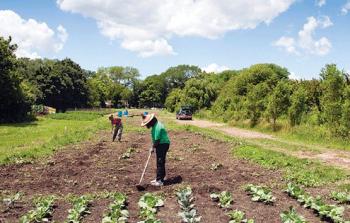 Detroit's Good Food Cure