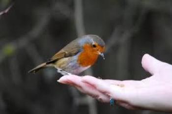 The Power of Milk Moments