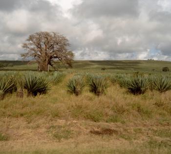 A Shift to Humility: Resilience & Change