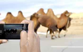 Smart Phone? Why It's Time for a Kind Phone