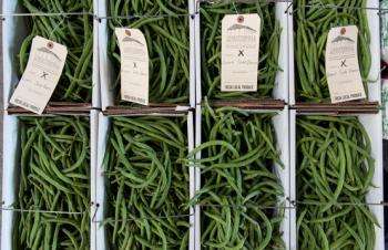 How a Fruit and Vegetable Auction in Rural Ohio Helps Appalachian Farmers Thrive