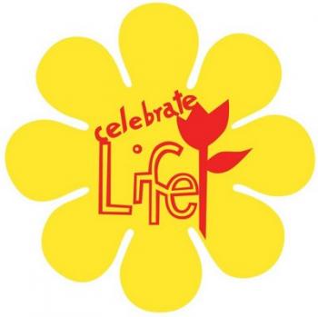 A Radical Homemaker Celebrates 40