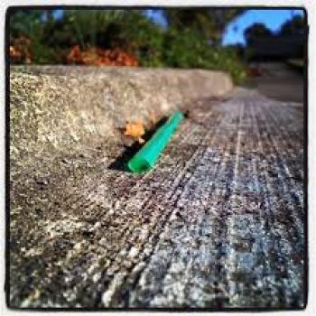 Talking Trash with Jeff