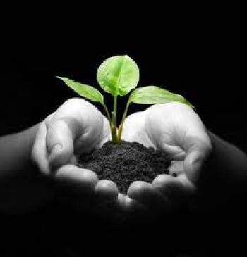 Sprouting Seeds of Compassion 