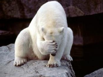 6 Things Shy People Can Teach Us About Success
