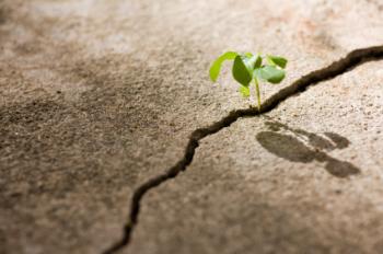 Heart of Urban Resilience: Trust Not Tech
