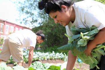 America's Most Tenacious Gardeners