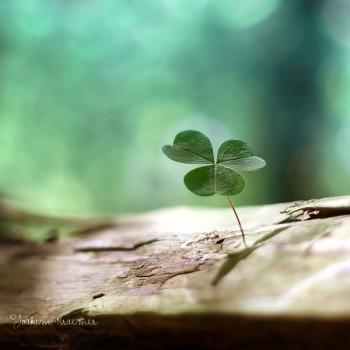 Towards a Psychology of Hope