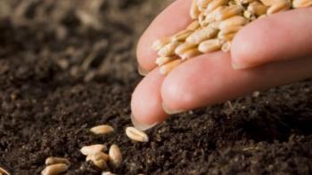 The Pollination Project: Gifting a $1000 a Day