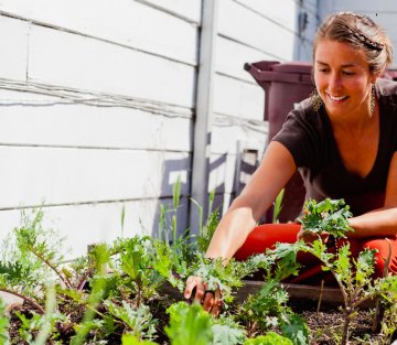 Don't Want That Sandwich? Can't Sell it? Don't Throw It away, though!