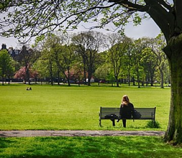 Habits of Heart & Mind in Leadership