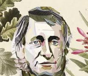 The Spirit of Sauntering: Thoreau on the Art of Walking and the Perils of a Sedentary Lifestyle