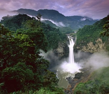What the People of the Amazon Know That You Don't
