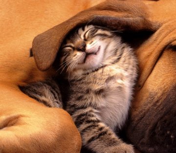 The Gifts of Hibernation