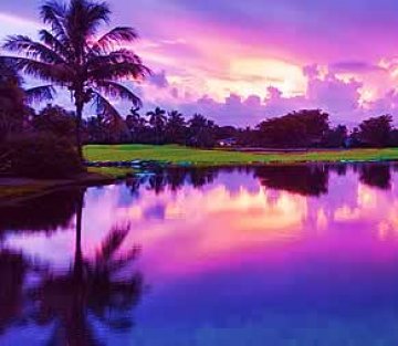 3 Ways to Be a More Mindful Leader