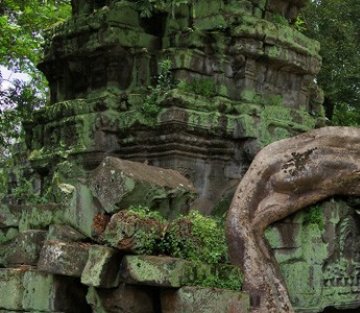 Ecosophy: Nature's Guide to a Better World
