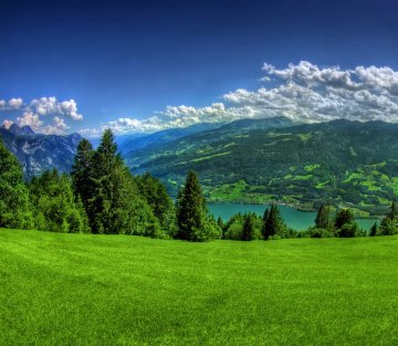 Nature Needs a New Pronoun: to Stop the Age of Extinction, Let's Start by Ditching 