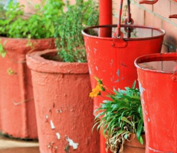 My Bucket List of Gratitude